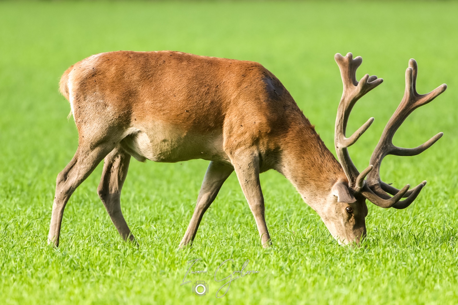 12 juni 2022 185511 1DX47319